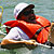 Schooner Wharf Minimal Regatta 2003 photo - Duval Street, Key West
